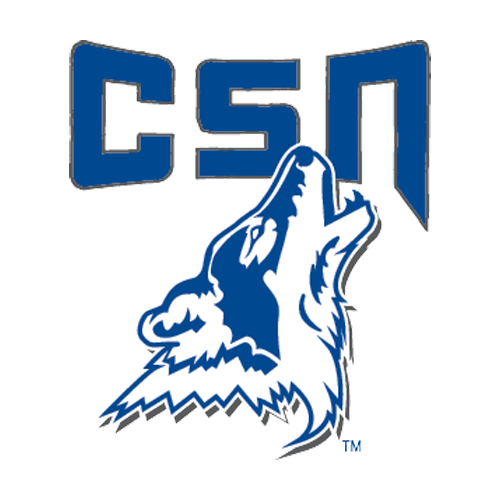 CSN Logo